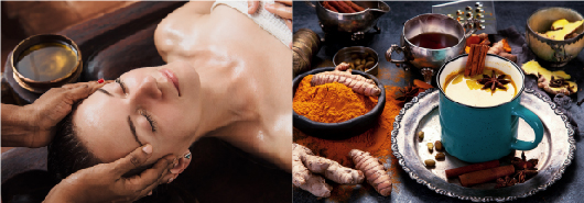 インド伝承医学アーユルべーダとカレー