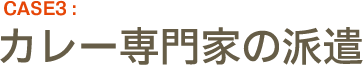 CASE3:カレー専門家の派遣